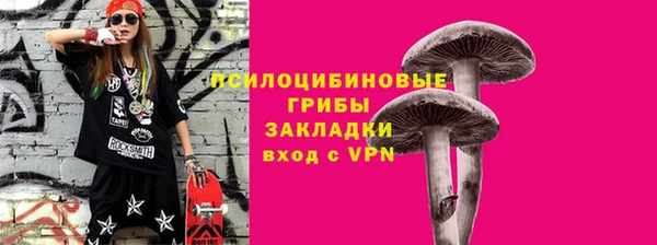 PSILOCYBIN Михайловка