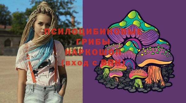 PSILOCYBIN Михайловка